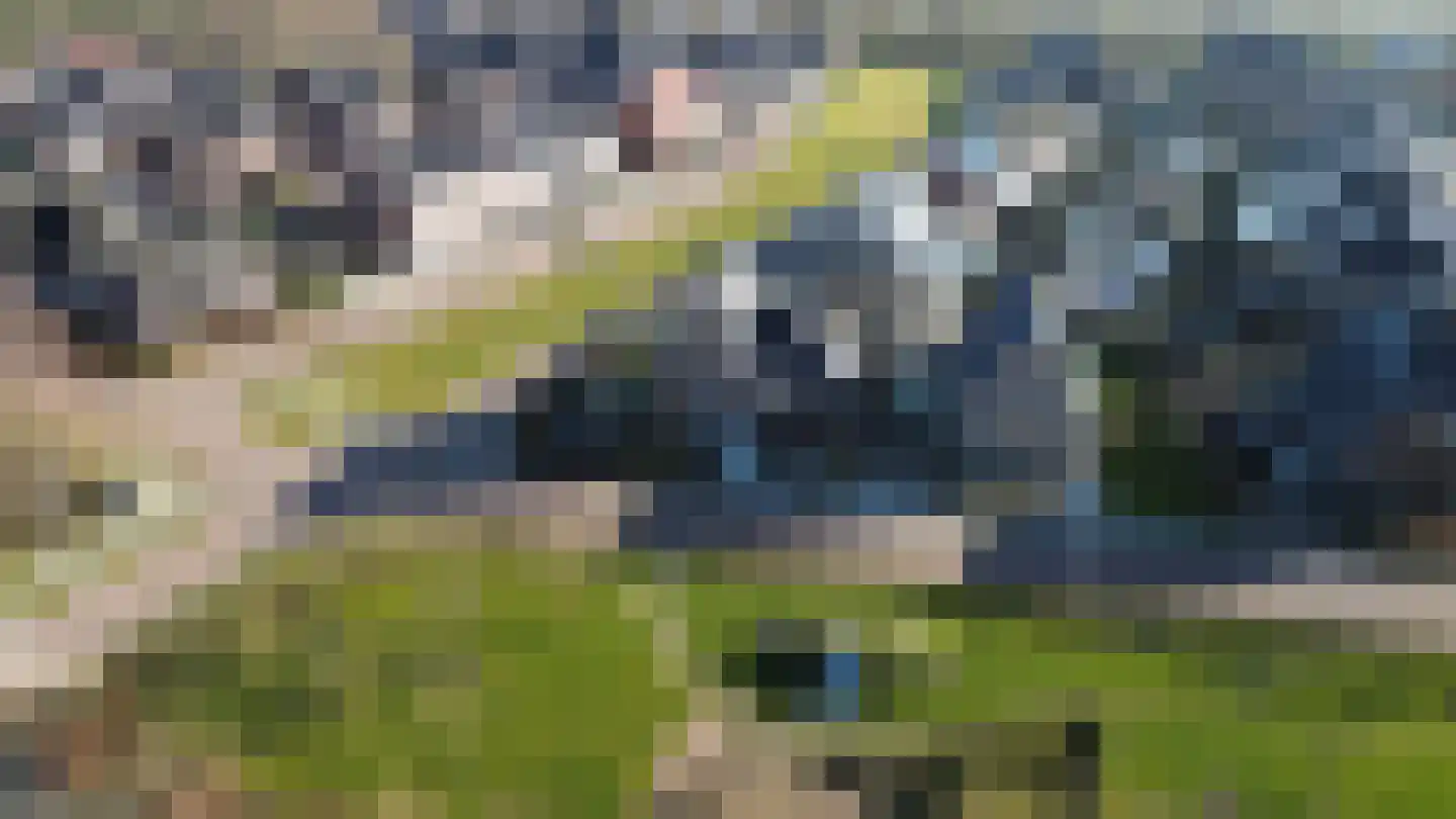 Binnenkruier 1 Espel thumbnail 54