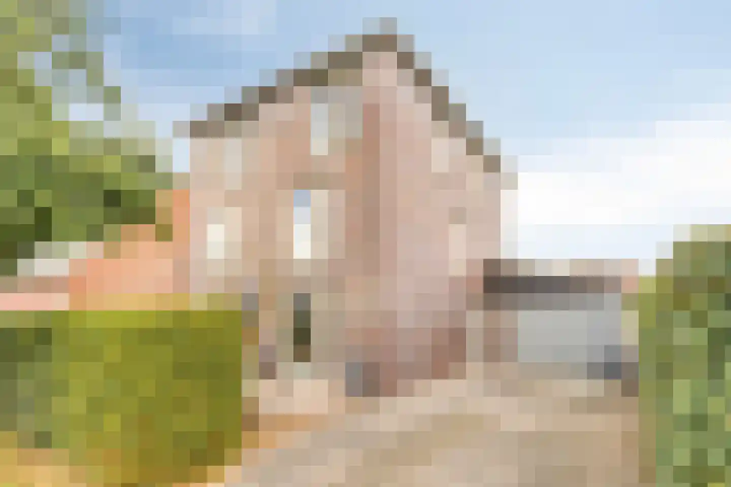 Binnenkruier 112 in Stompetoren