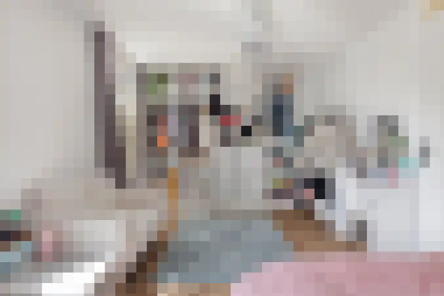 Binnenkruier 112 Stompetoren thumbnail 13