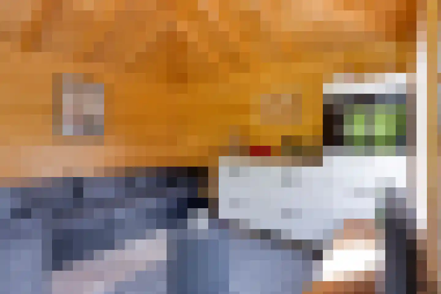Binnenkruier 112 Stompetoren thumbnail 22