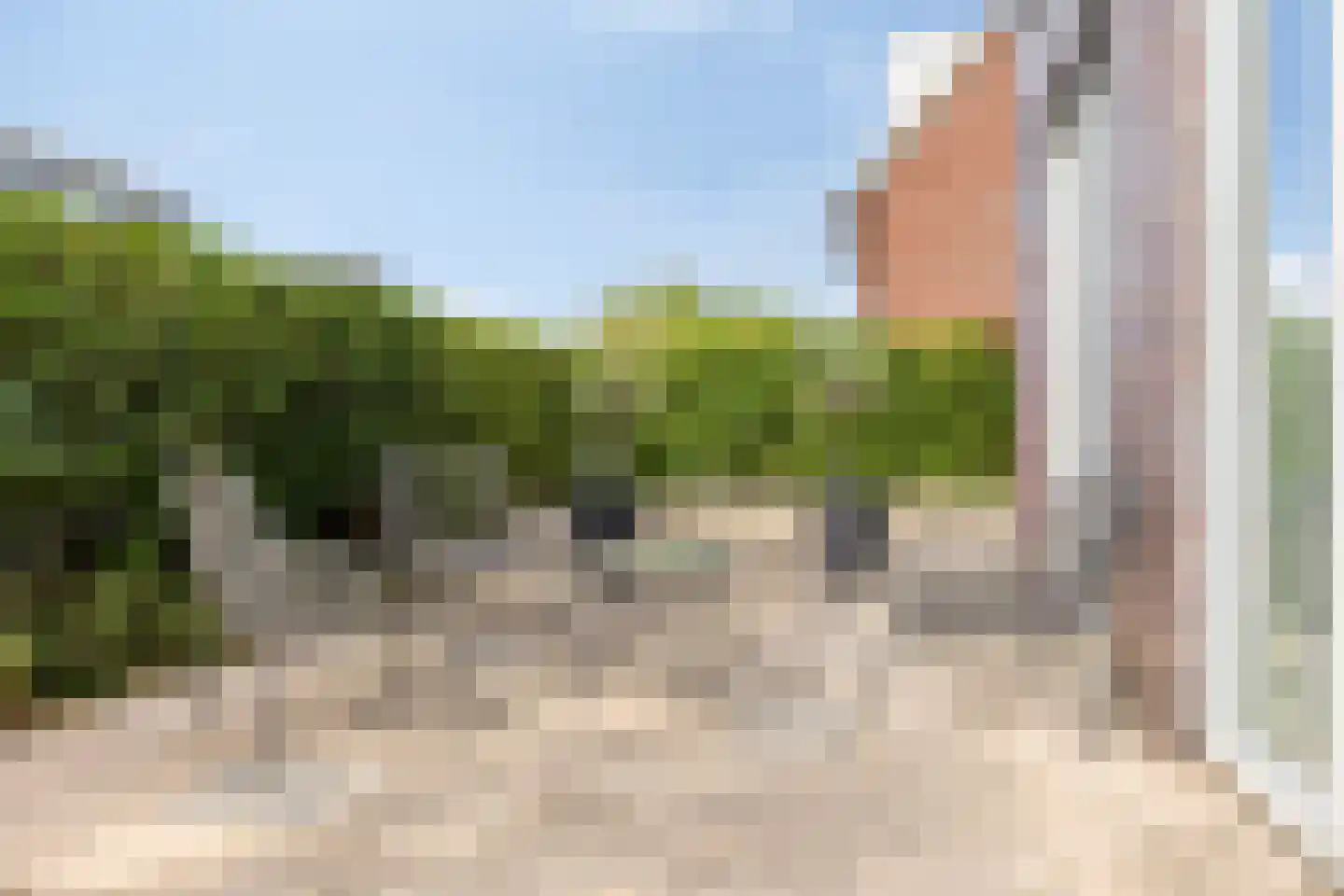 Binnenkruier 112 Stompetoren thumbnail 25