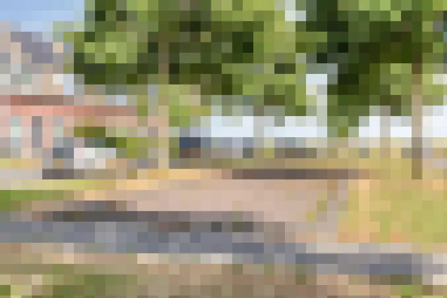 Binnenkruier 112 Stompetoren thumbnail 28