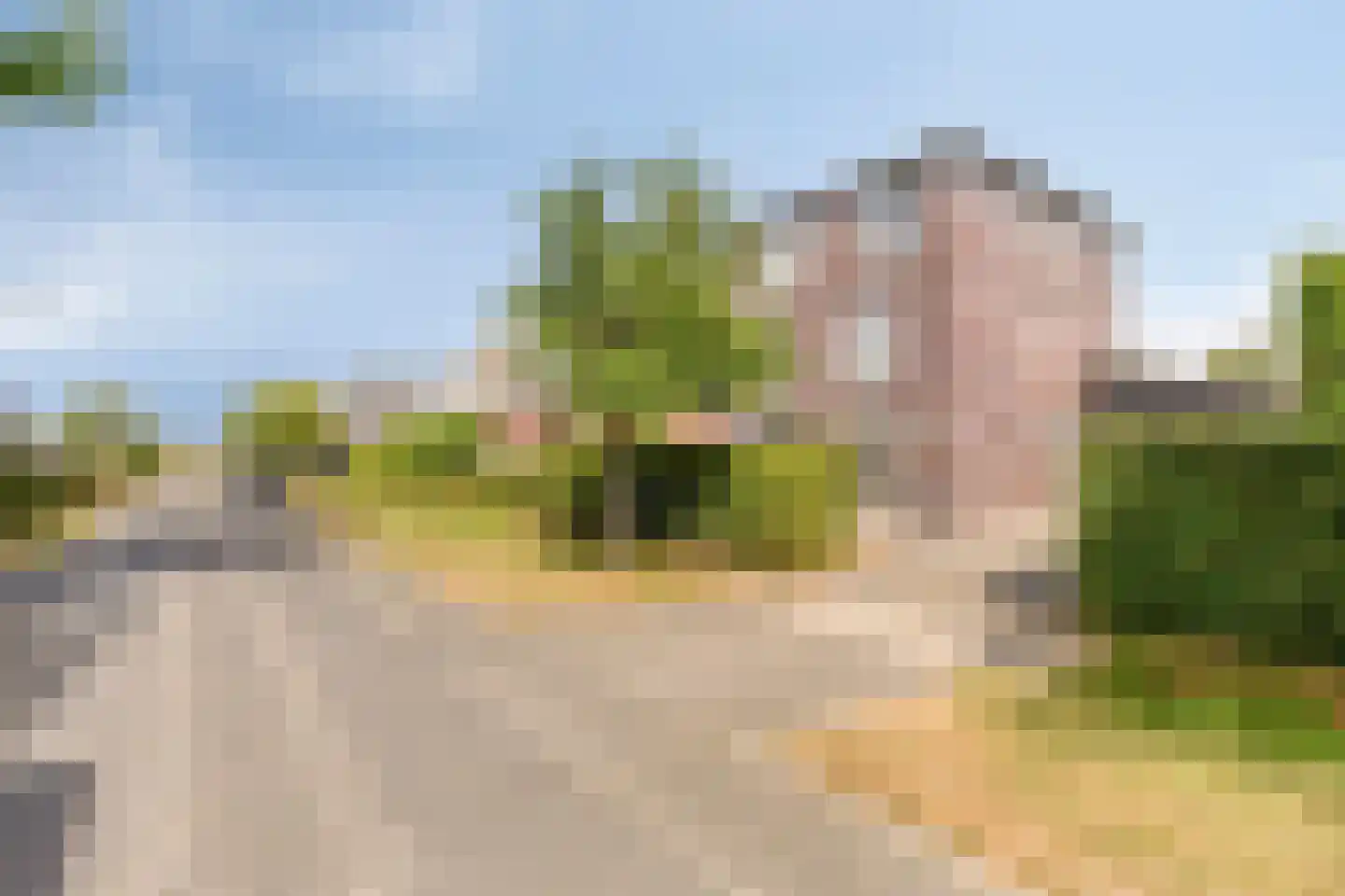 Binnenkruier 112 Stompetoren thumbnail 31
