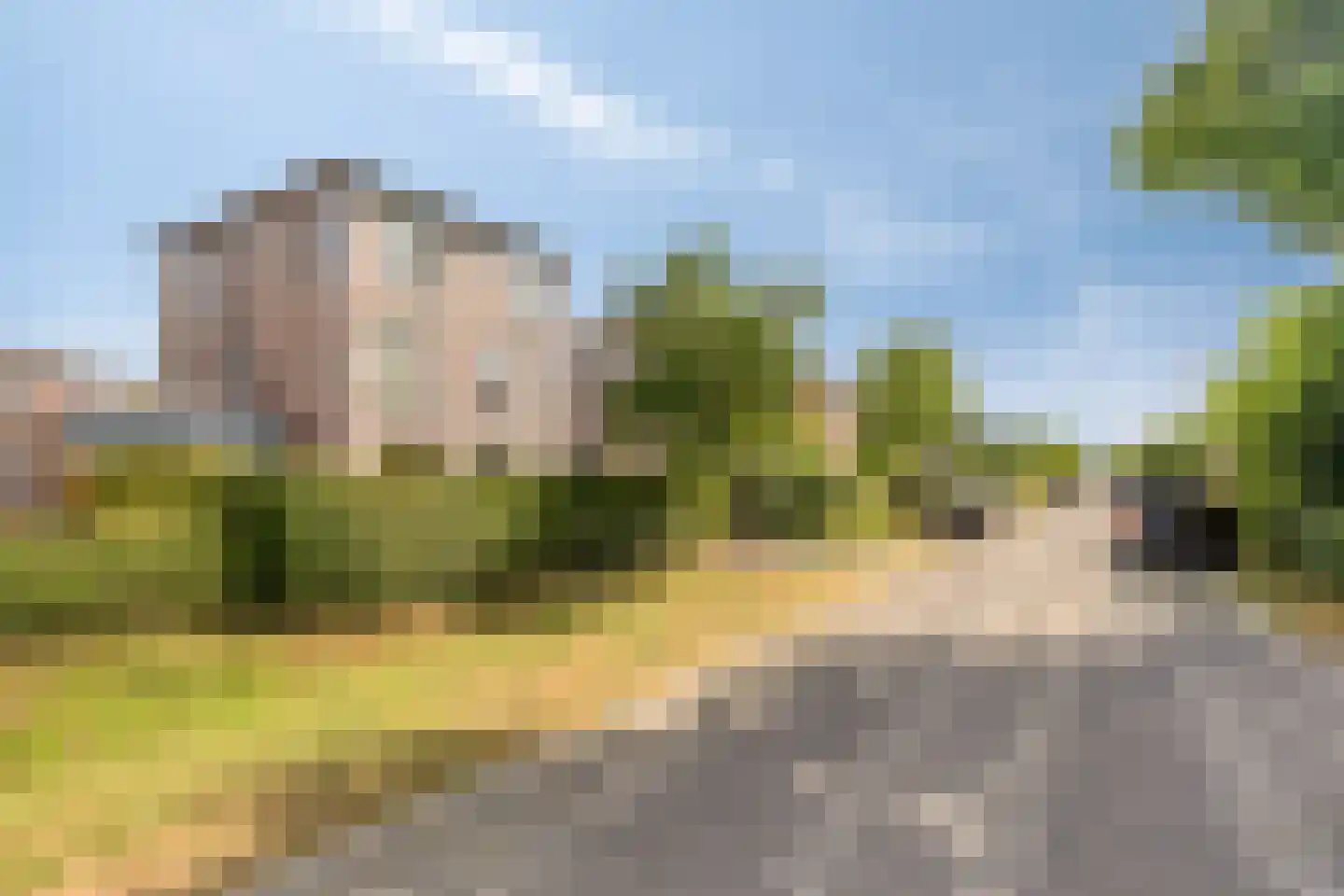 Binnenkruier 112 Stompetoren thumbnail 32