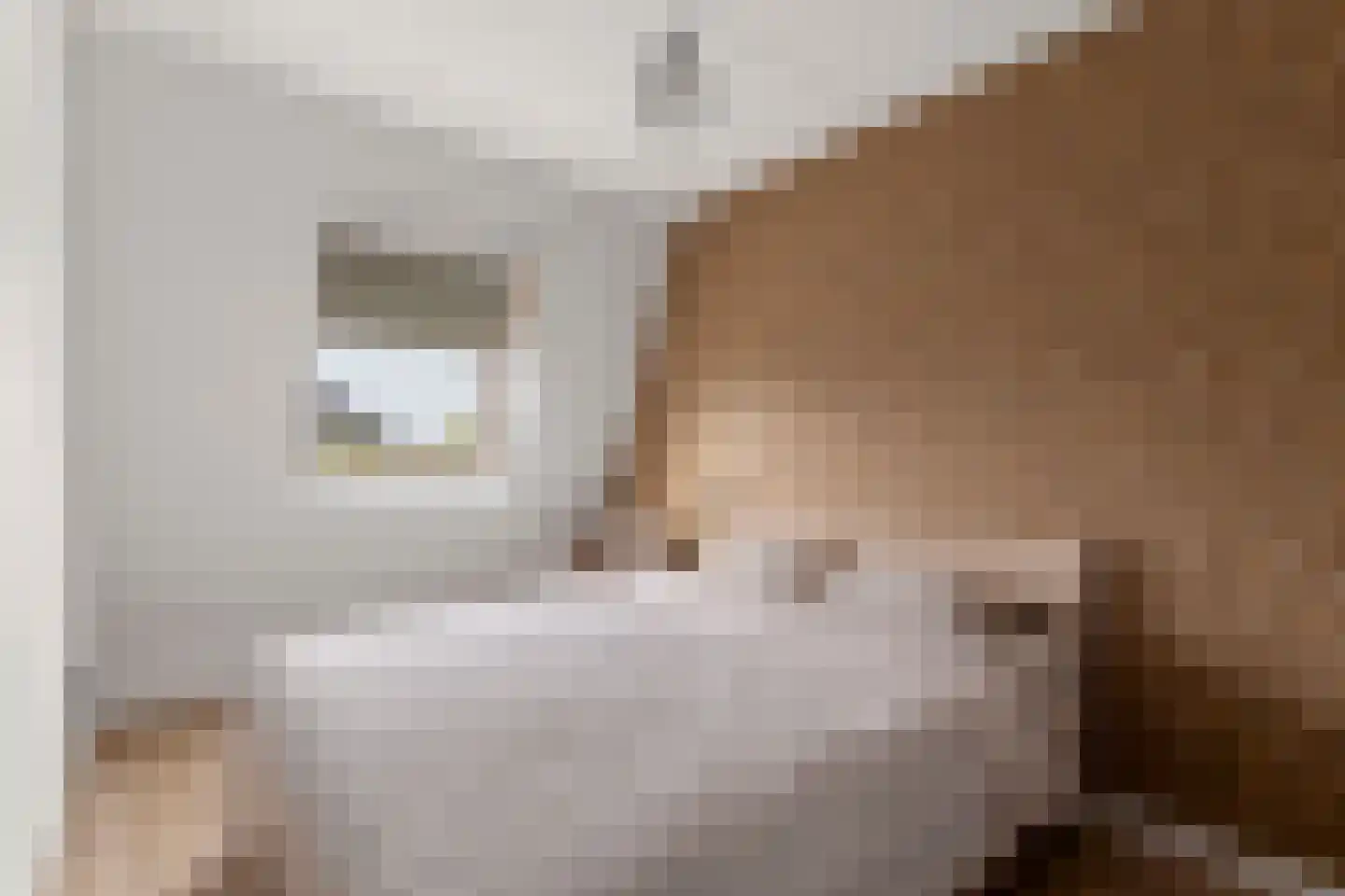 Binnenkruier 128 Stompetoren thumbnail 17