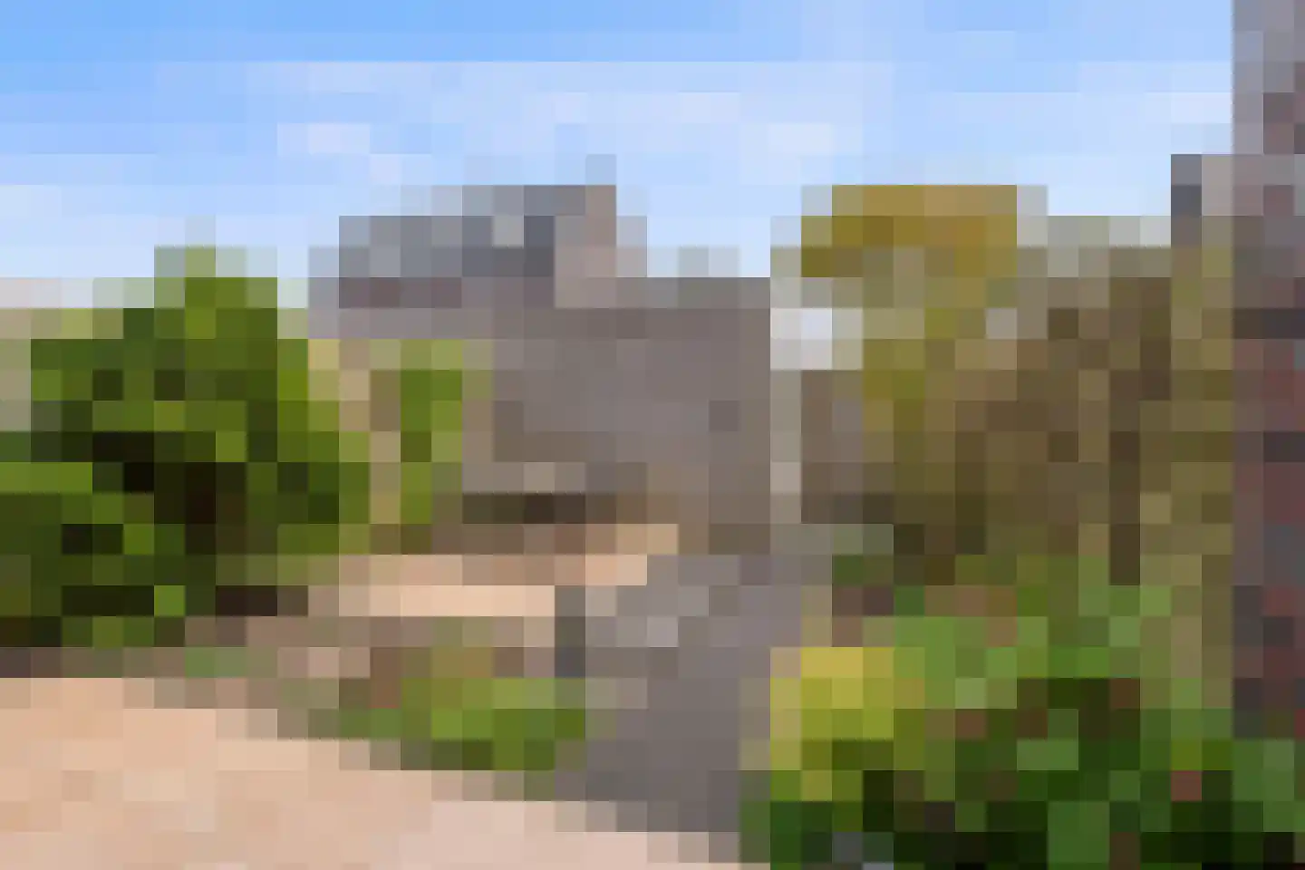 Binnenkruier 128 Stompetoren thumbnail 25