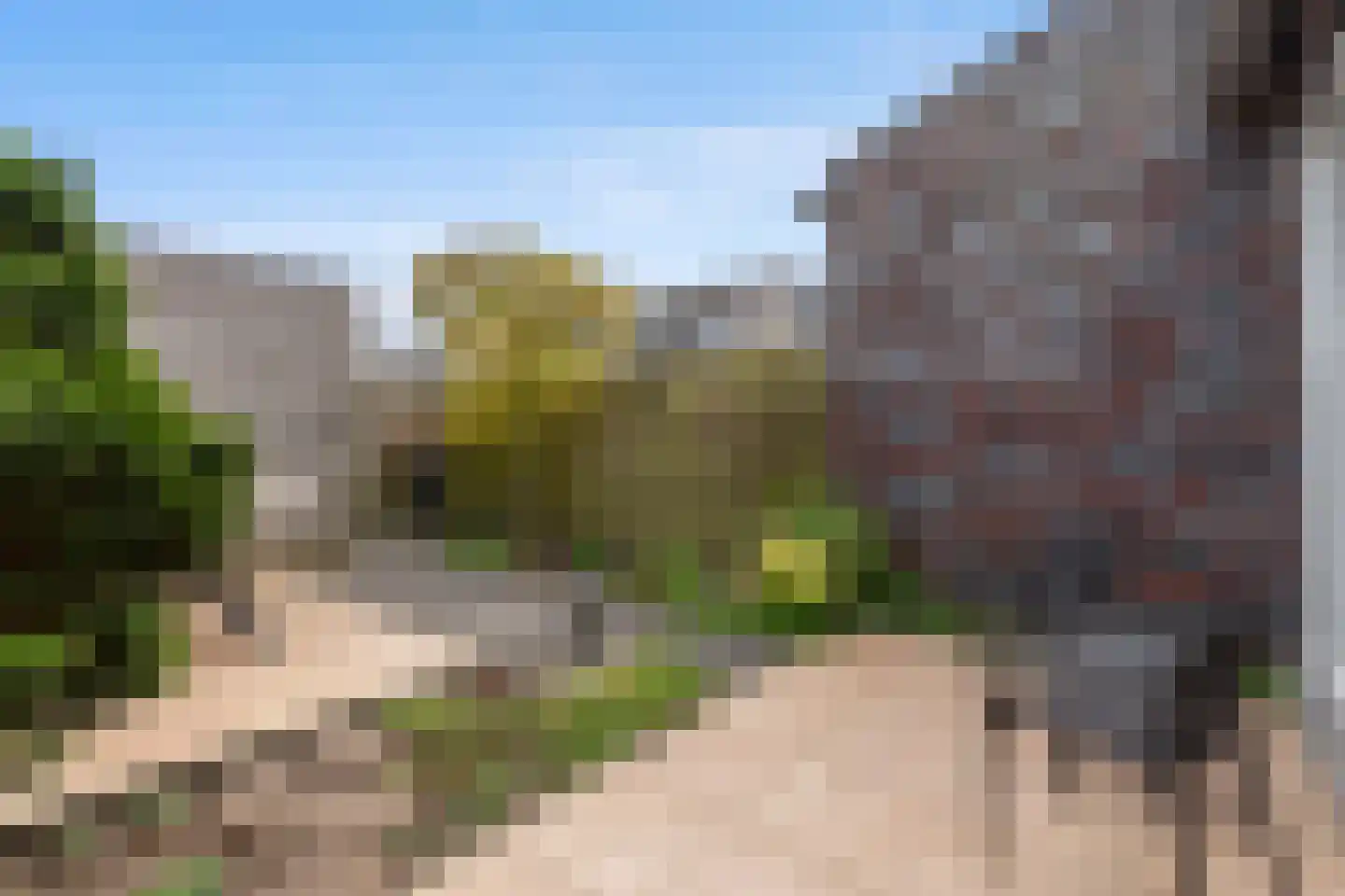 Binnenkruier 128 Stompetoren thumbnail 26