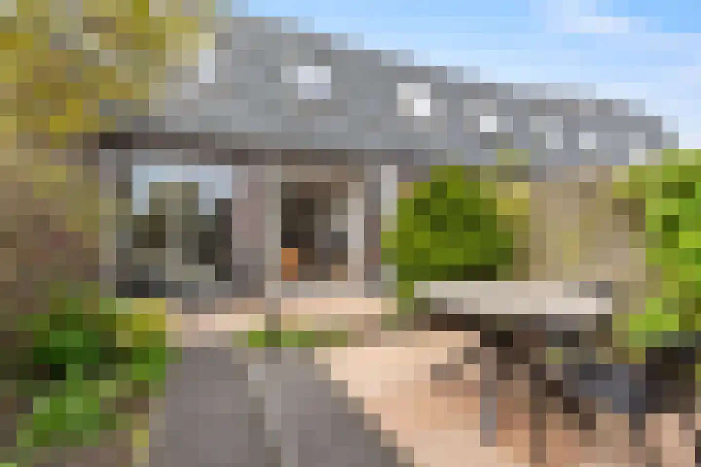 Binnenkruier 128 Stompetoren thumbnail 27
