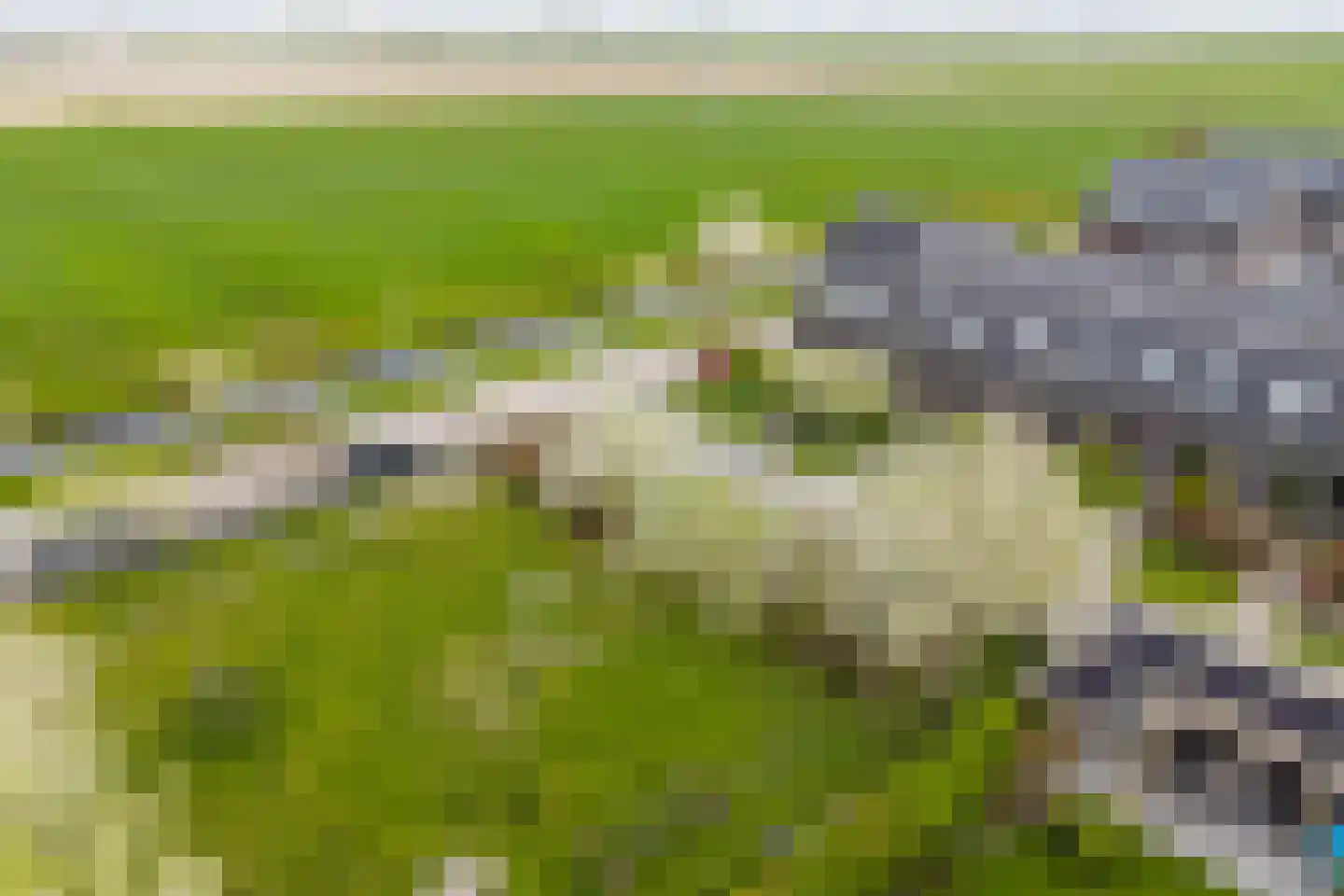 Binnenkruier 128 Stompetoren thumbnail 33