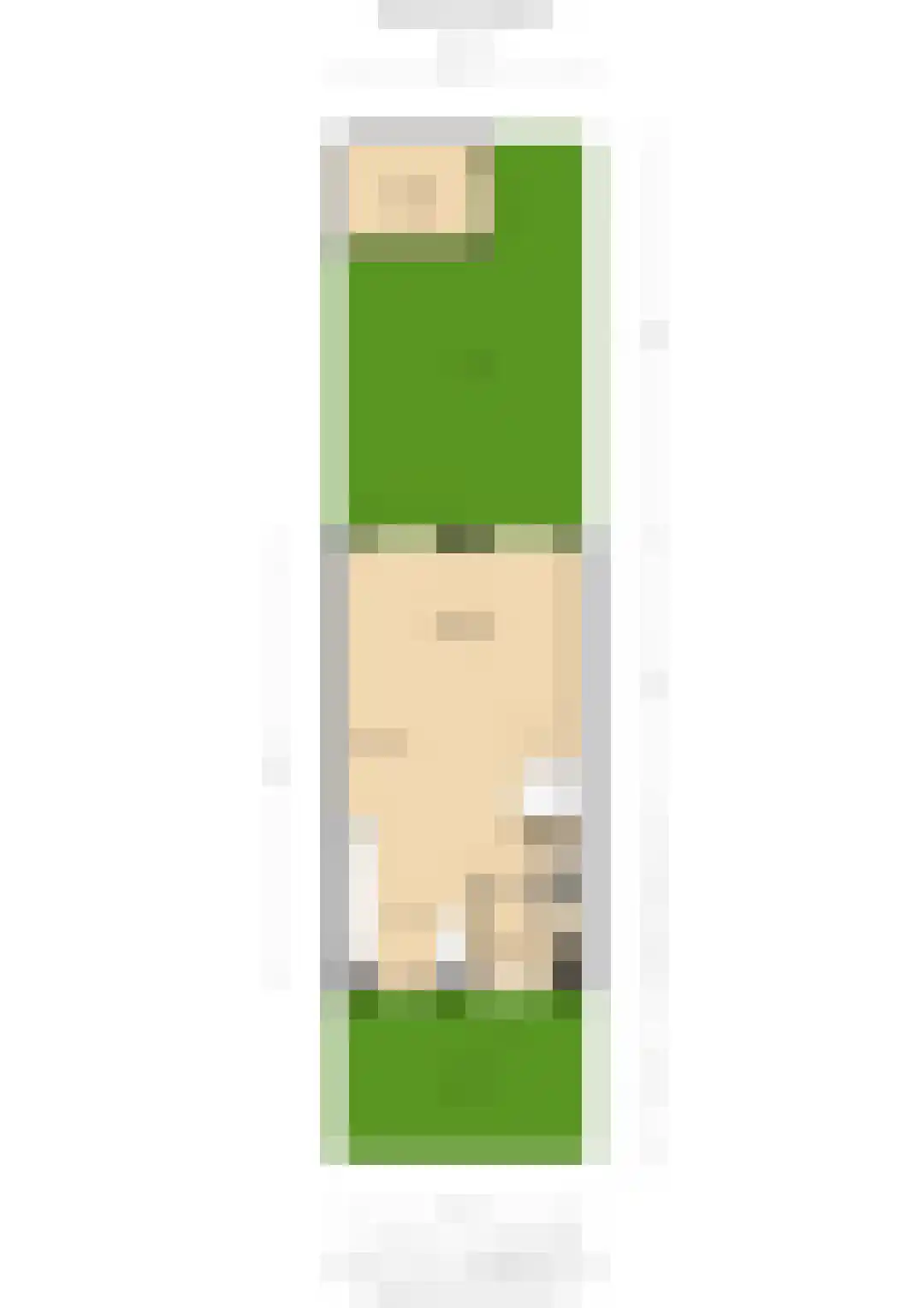 Binnenkruier 128 Stompetoren thumbnail 39