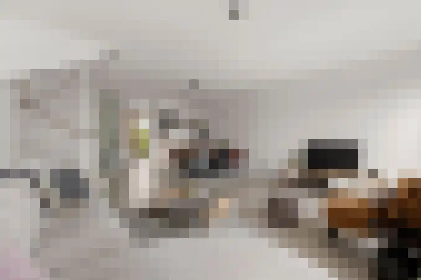 Binnenkruier 128 Stompetoren thumbnail 7
