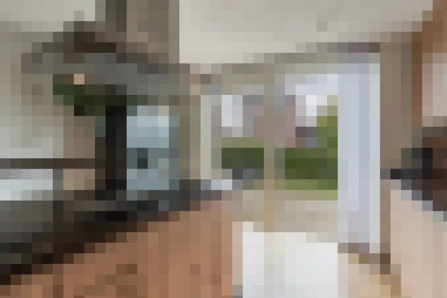 Binnenkruier 13 Stompetoren thumbnail 13