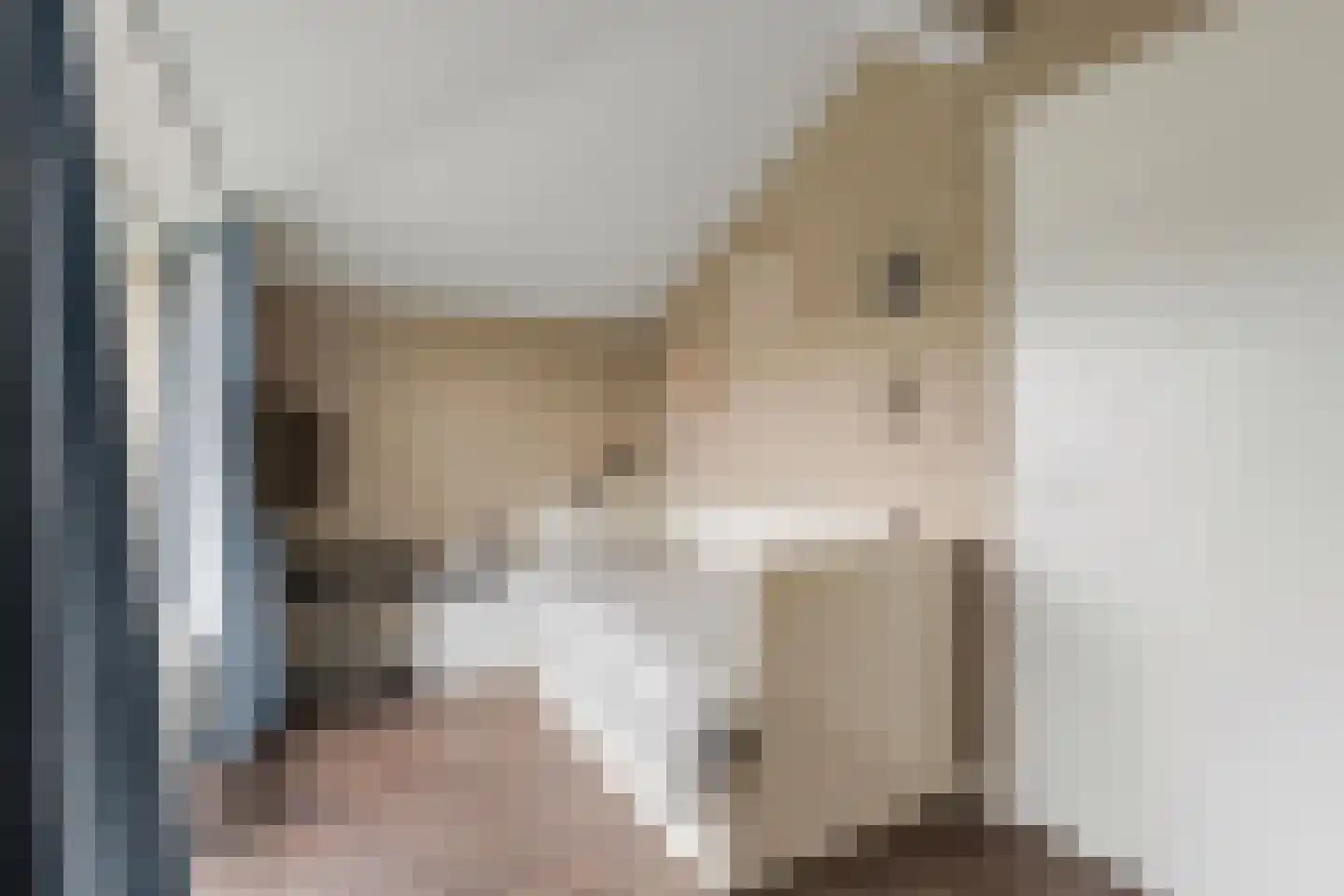 Binnenkruier 13 Stompetoren thumbnail 27