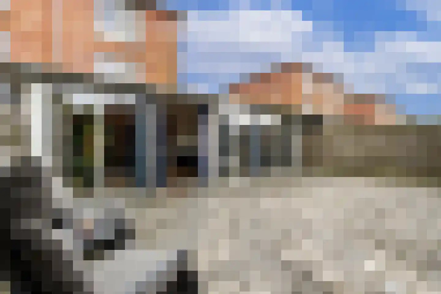 Binnenkruier 13 Stompetoren thumbnail 34