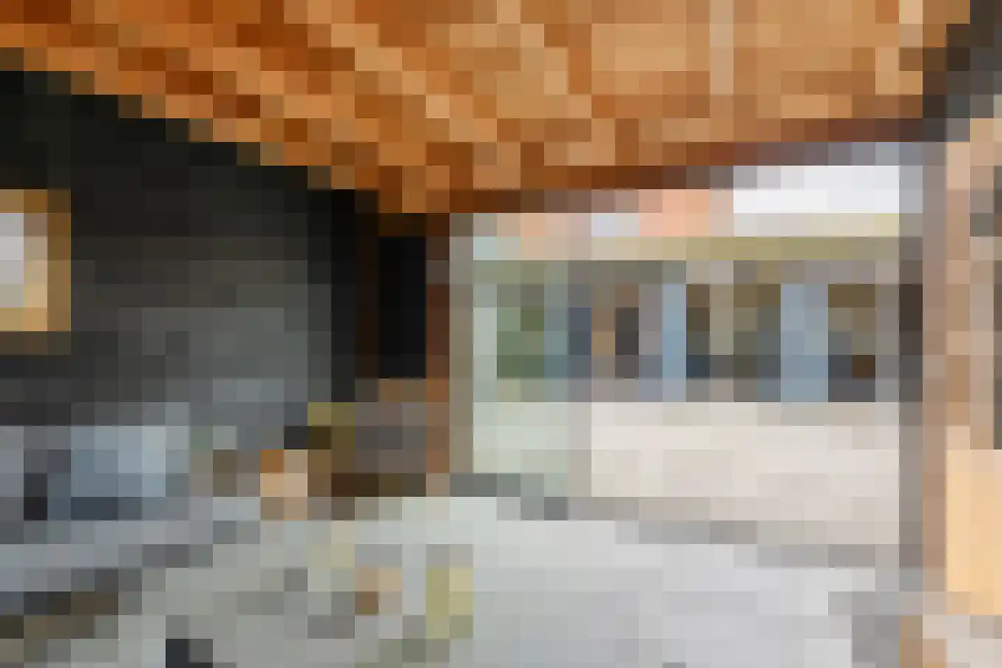 Binnenkruier 13 Stompetoren thumbnail 38