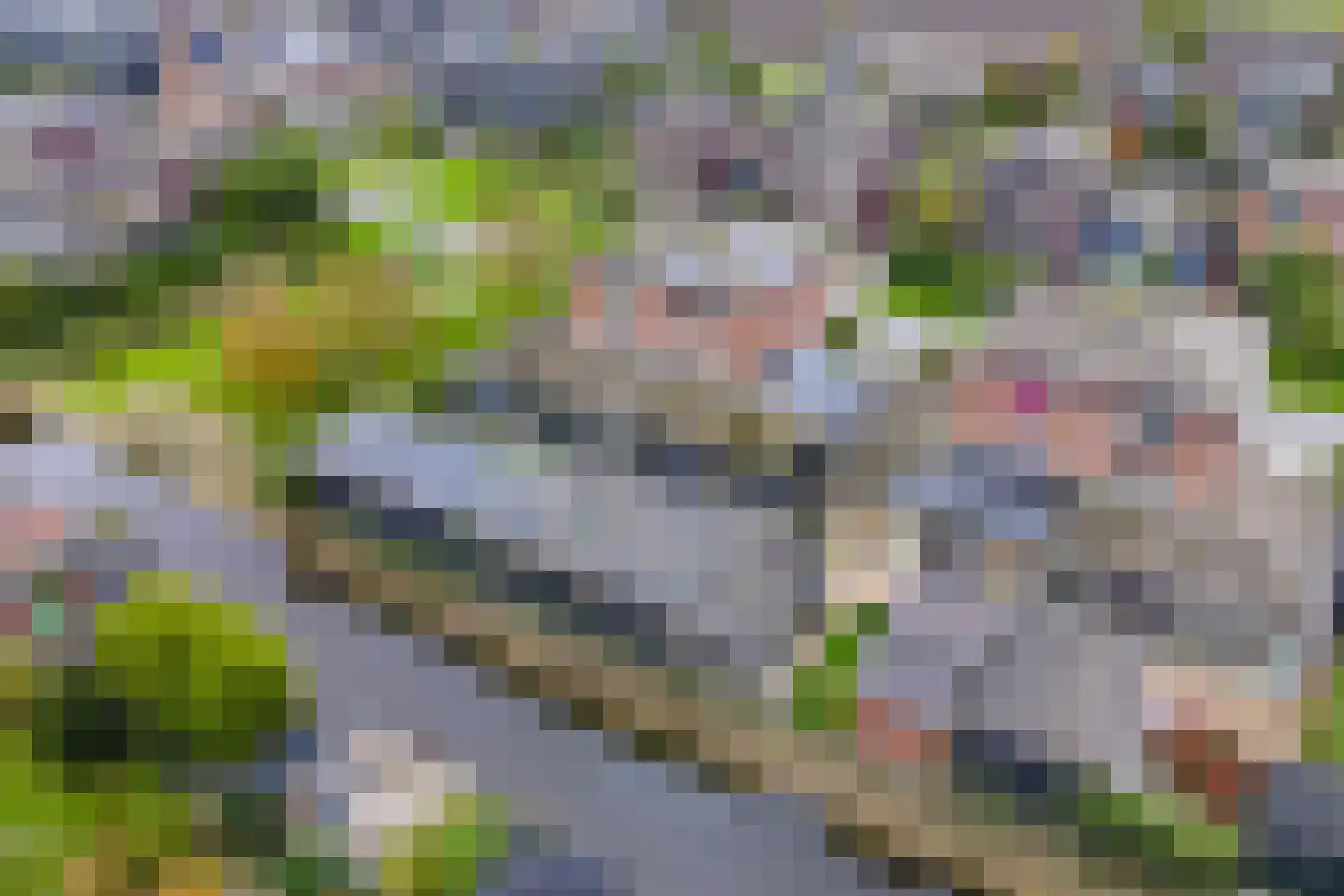 Binnenkruier 13 Stompetoren thumbnail 4