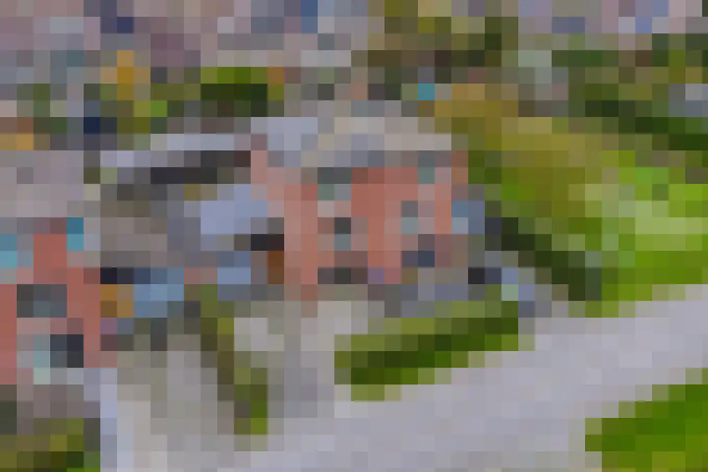 Binnenkruier 13 Stompetoren thumbnail 42