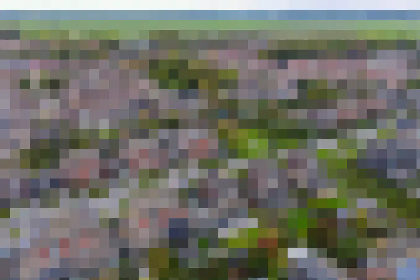 Binnenkruier 13 Stompetoren thumbnail 44