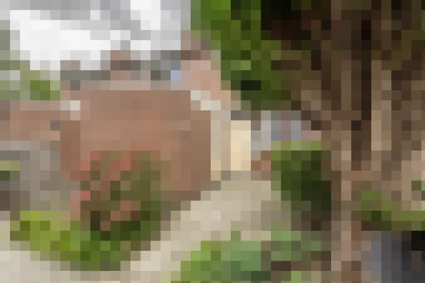 Binnenkruier 21 Puttershoek thumbnail 22