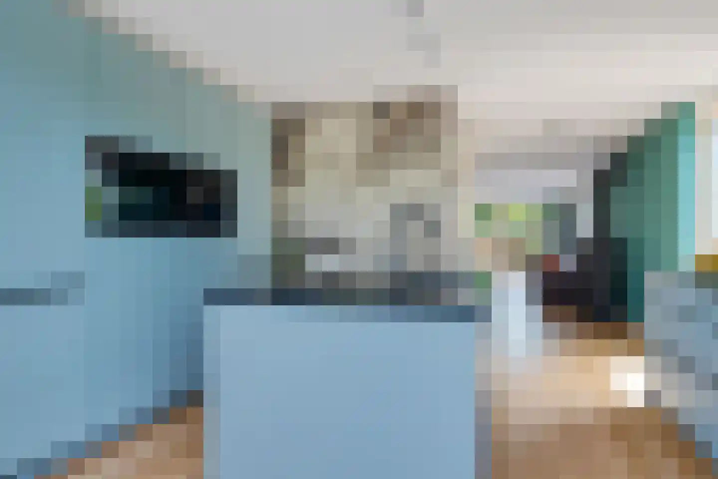 Binnenkruier 24 Stompetoren thumbnail 18