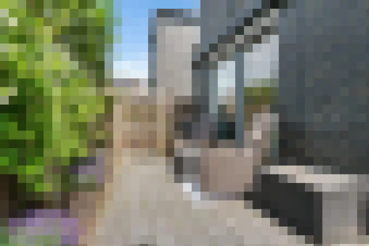 Binnenkruier 24 Stompetoren thumbnail 19