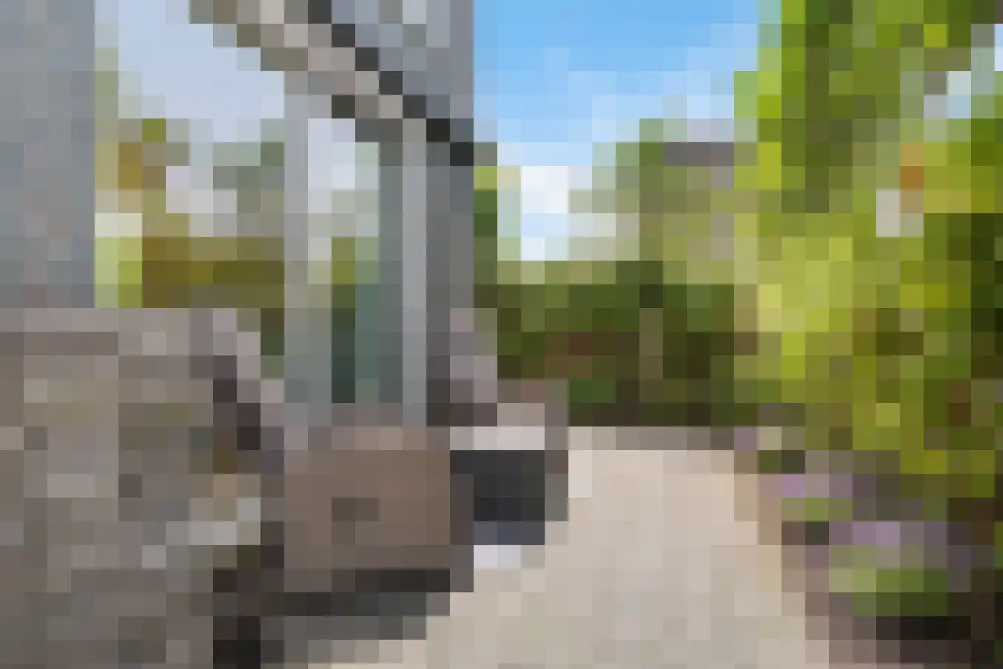 Binnenkruier 24 Stompetoren thumbnail 20