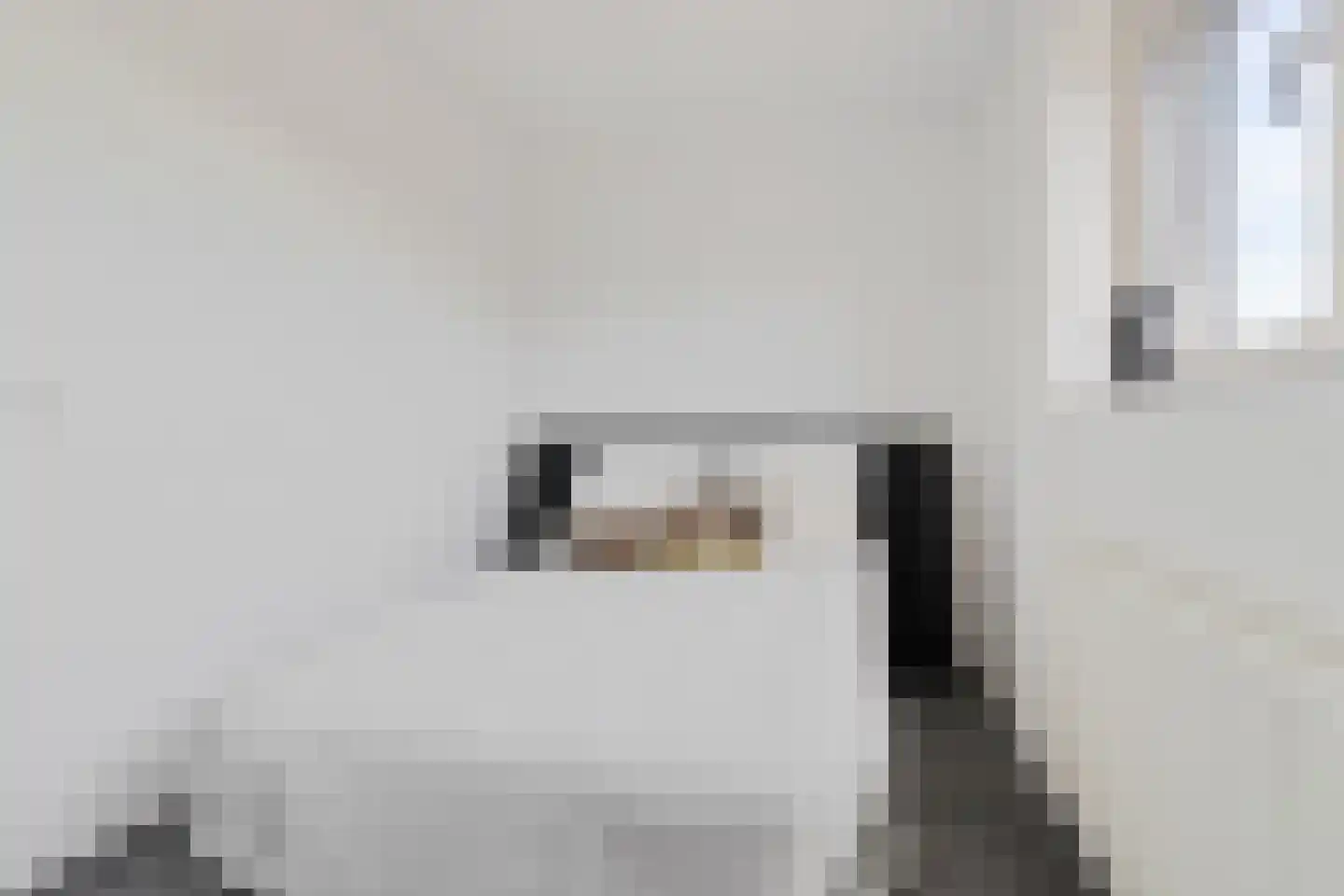 Binnenkruier 24 Stompetoren thumbnail 28
