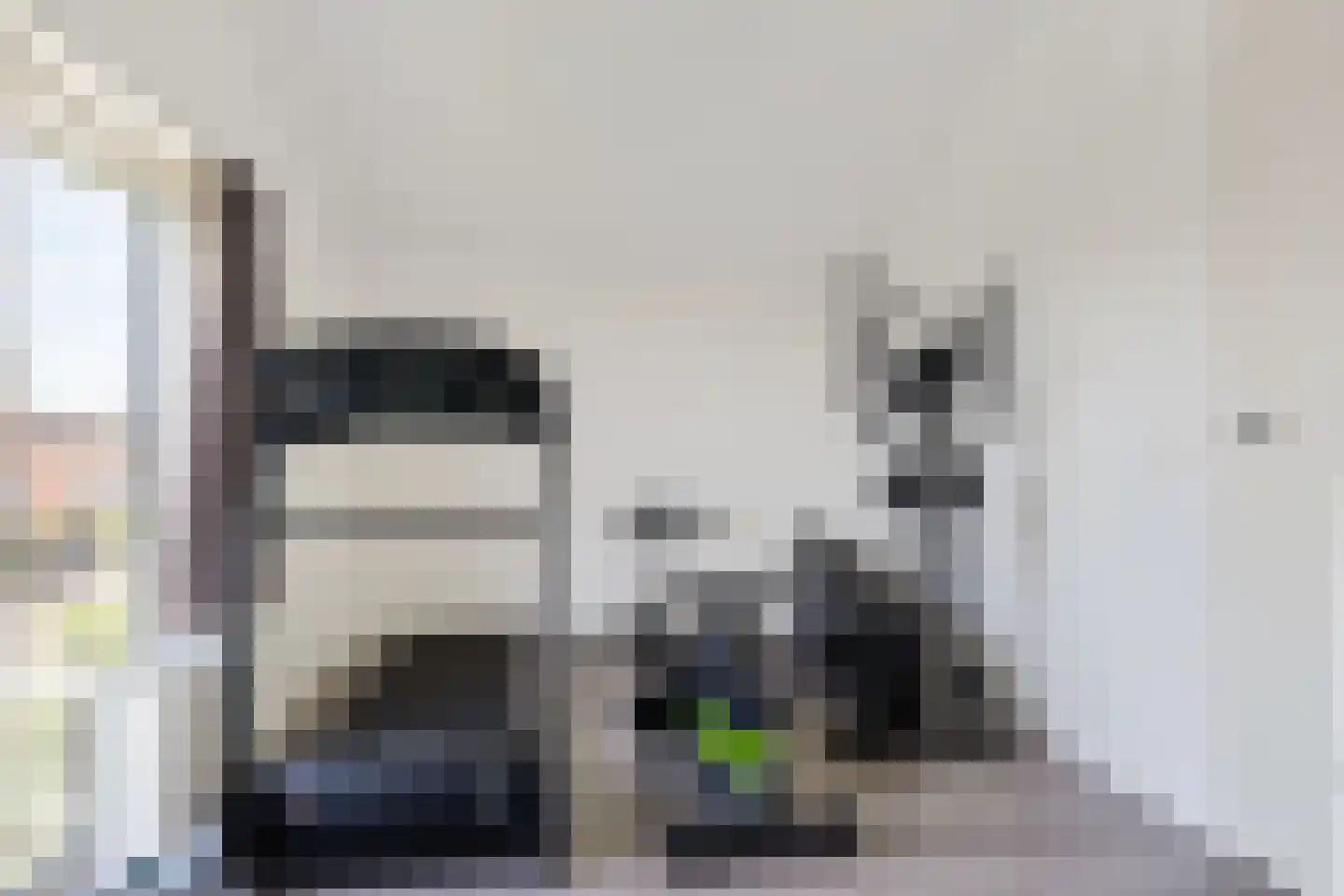Binnenkruier 24 Stompetoren thumbnail 37
