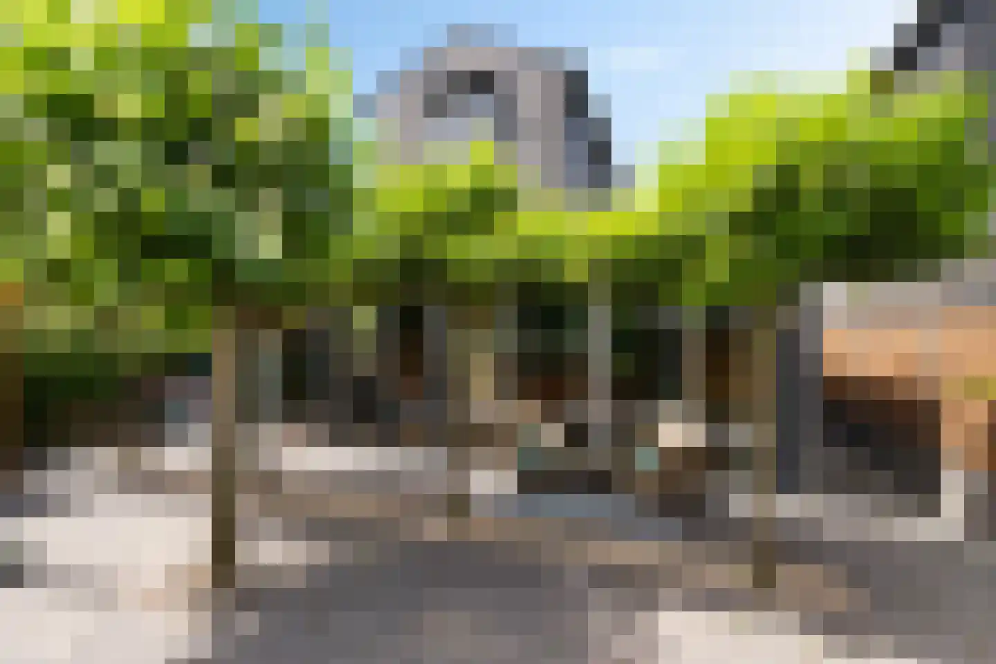 Binnenkruier 24 Stompetoren thumbnail 39