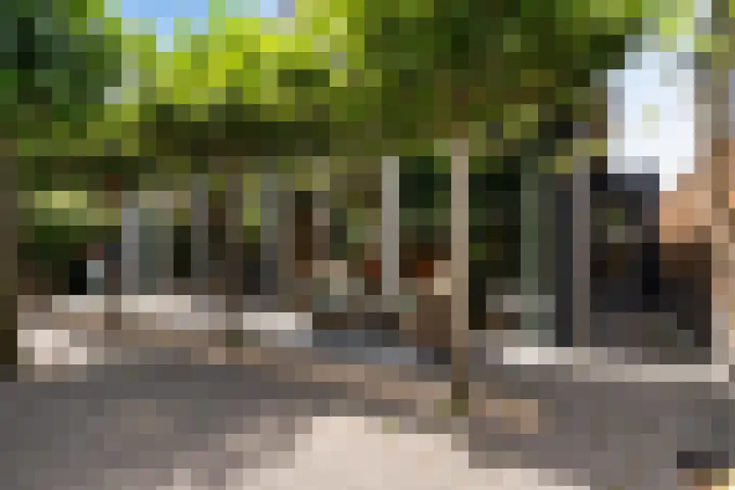 Binnenkruier 24 Stompetoren thumbnail 40