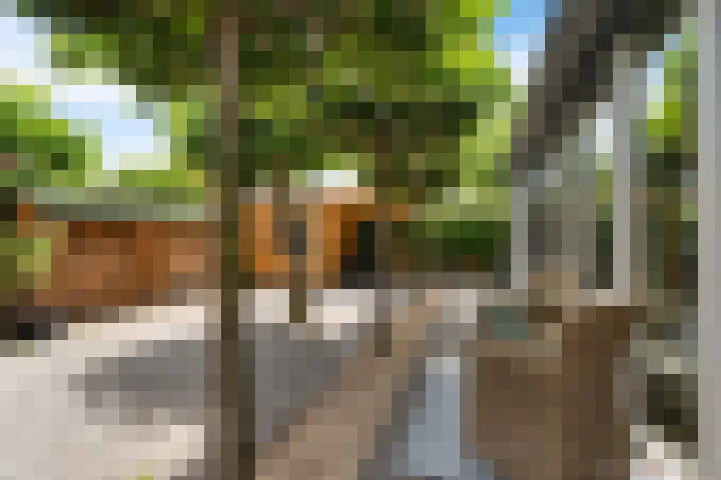 Binnenkruier 24 Stompetoren thumbnail 41