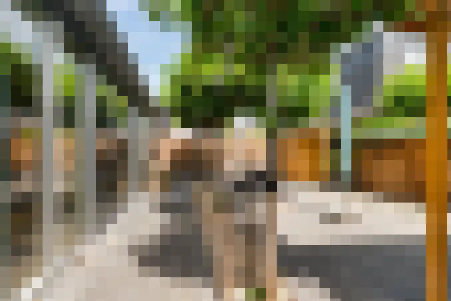 Binnenkruier 24 Stompetoren thumbnail 42