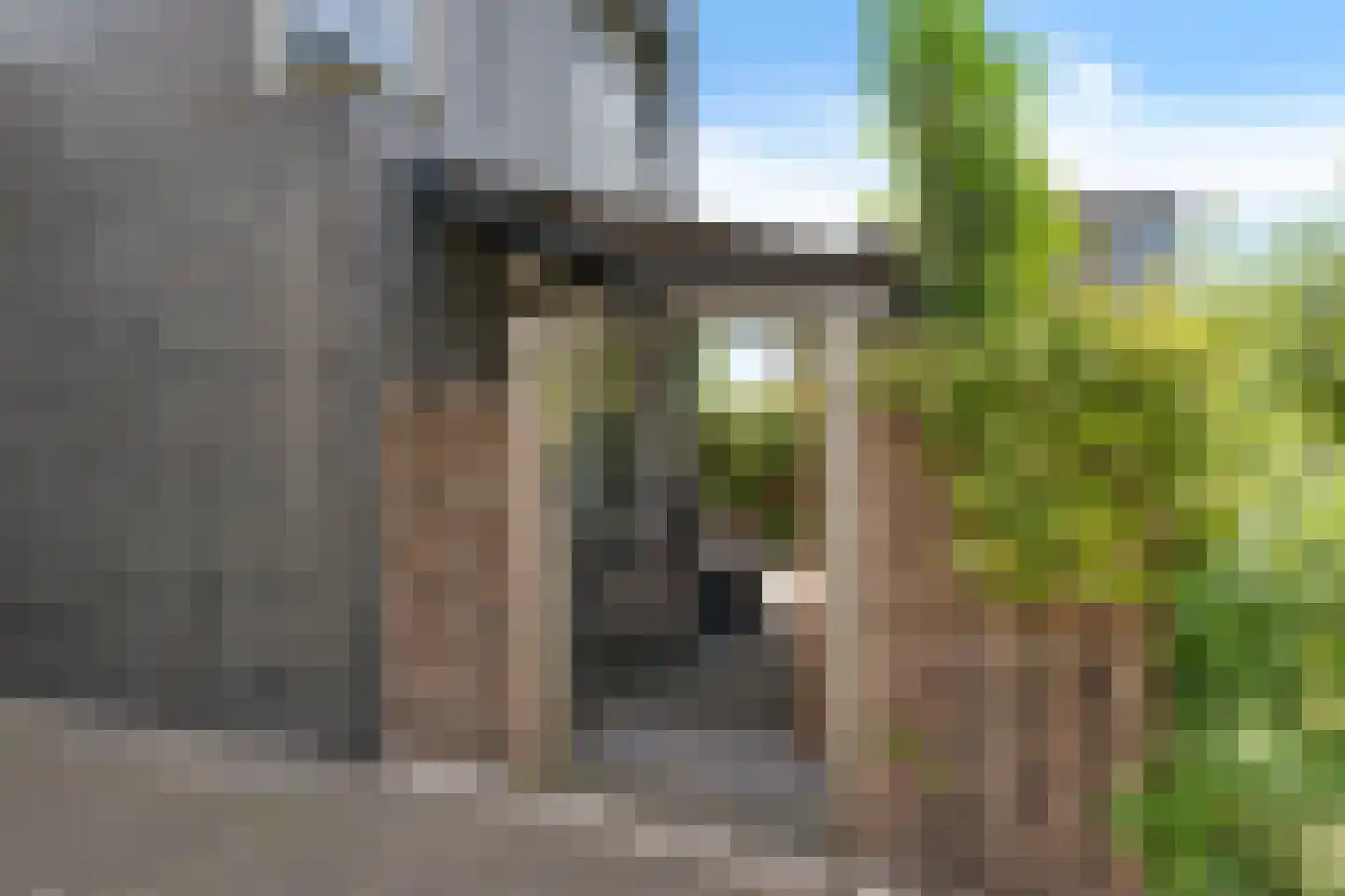 Binnenkruier 24 Stompetoren thumbnail 45