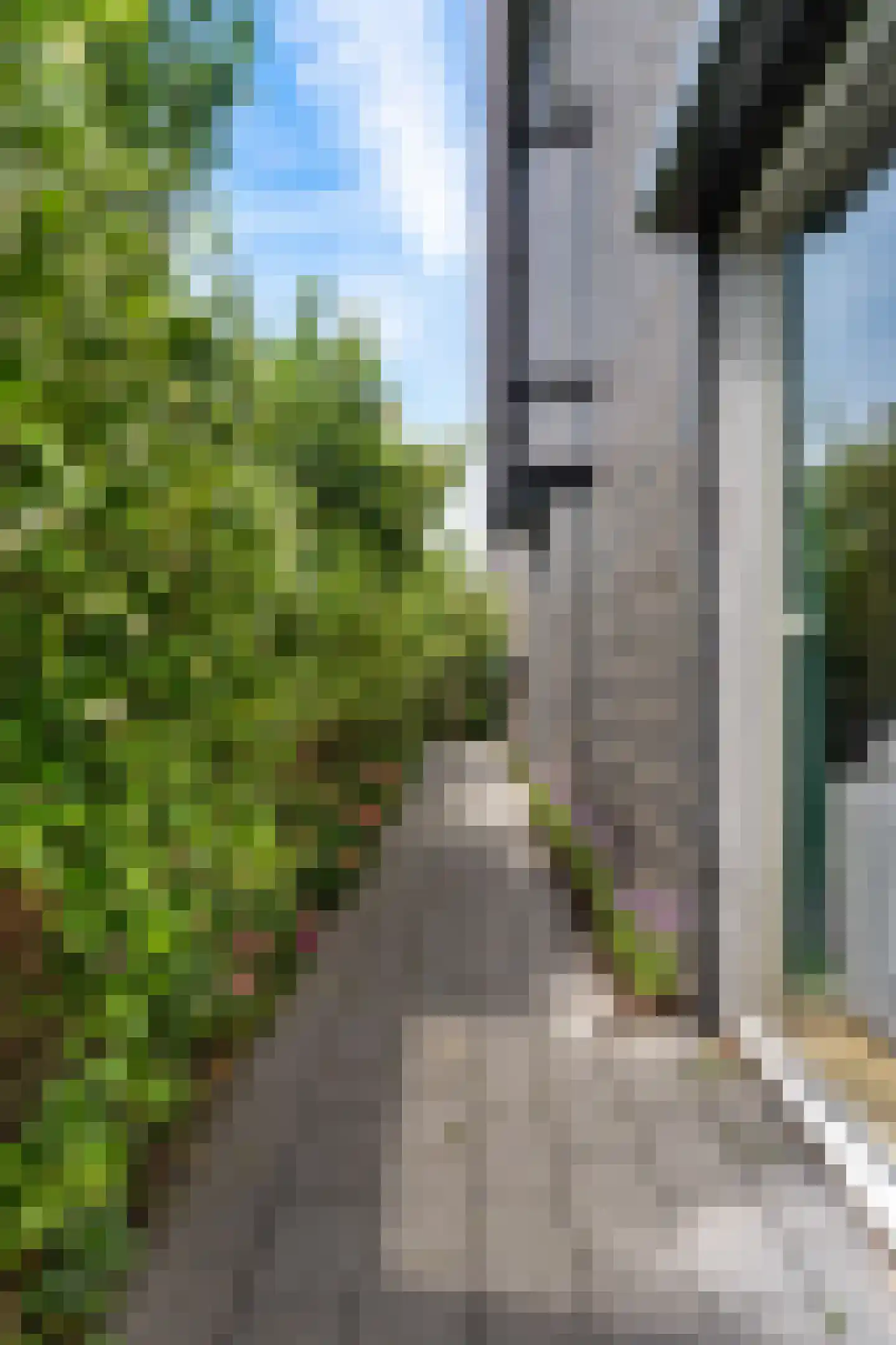 Binnenkruier 24 Stompetoren thumbnail 47