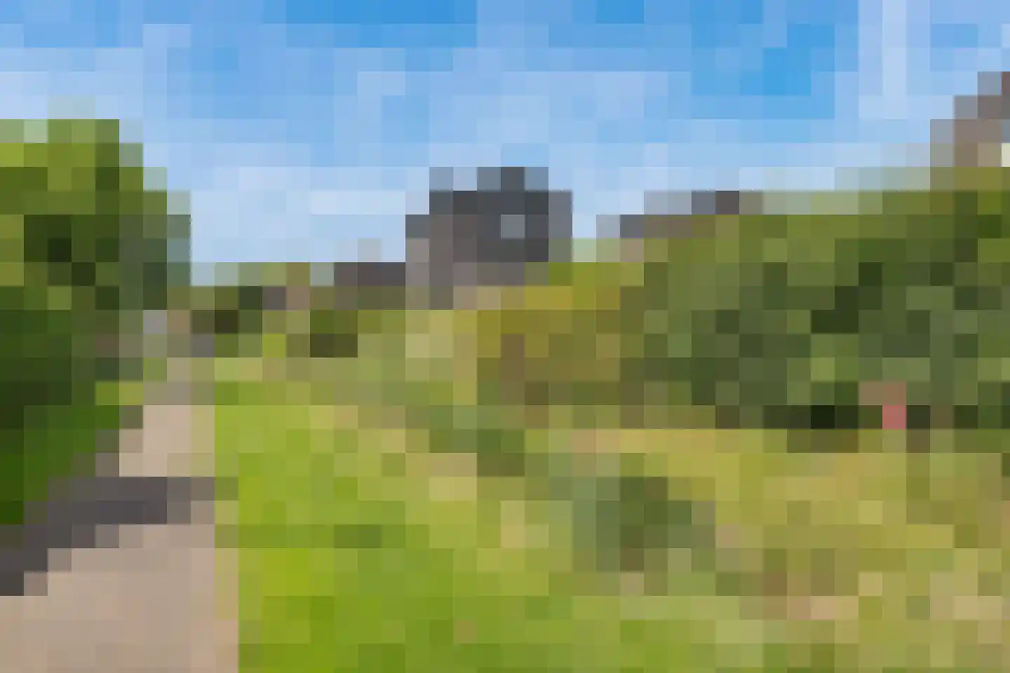 Binnenkruier 24 Stompetoren thumbnail 50