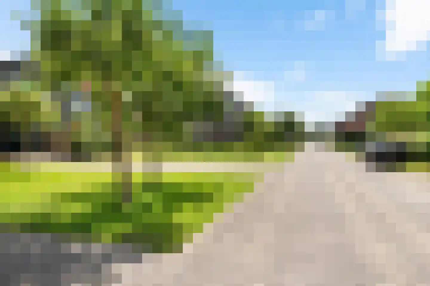 Binnenkruier 24 Stompetoren thumbnail 52