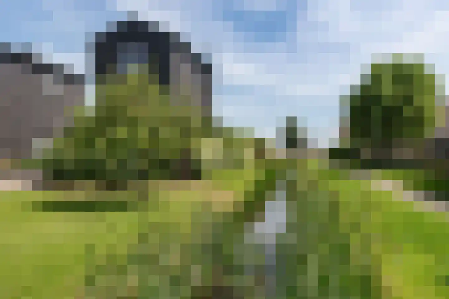 Binnenkruier 24 Stompetoren thumbnail 54