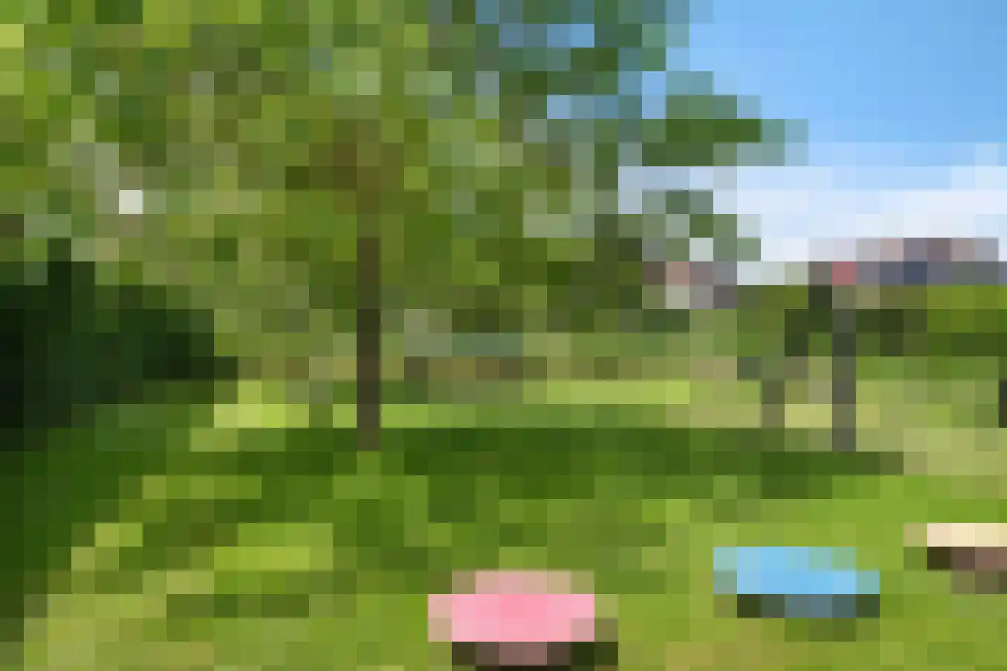 Binnenkruier 24 Stompetoren thumbnail 57