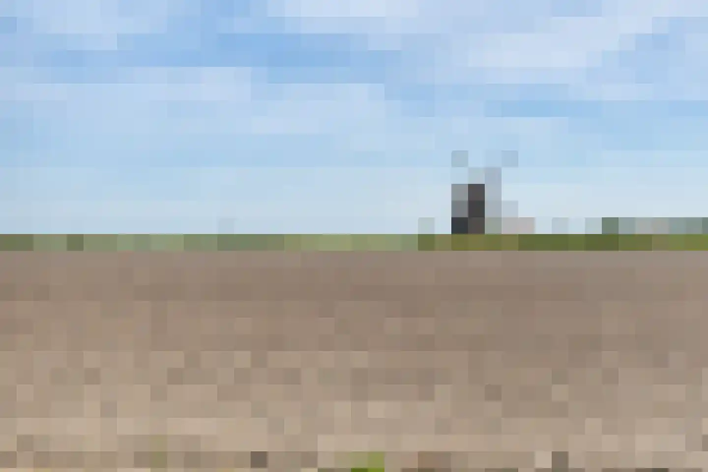 Binnenkruier 24 Stompetoren thumbnail 58