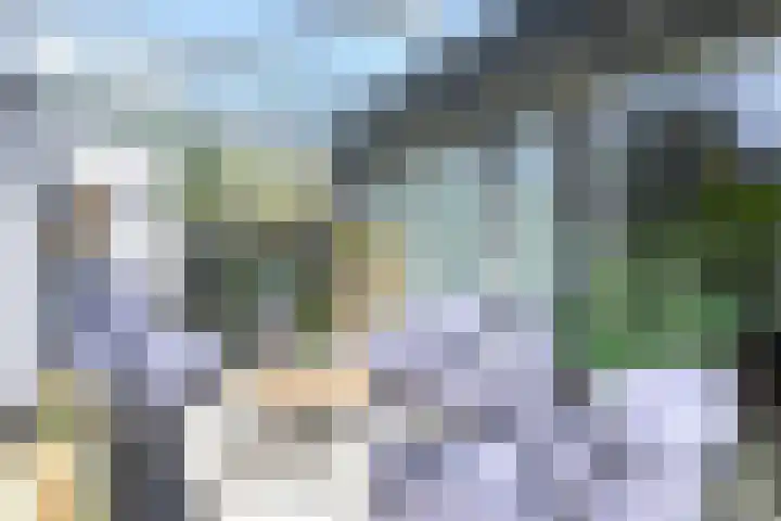 Binnenkruier 27 Stompetoren thumbnail 10