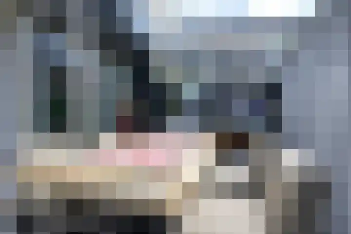 Binnenkruier 27 Stompetoren thumbnail 11