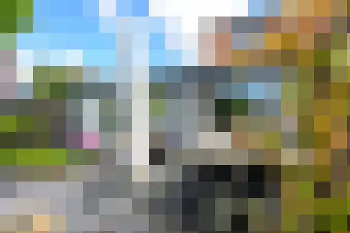 Binnenkruier 27 Stompetoren thumbnail 12