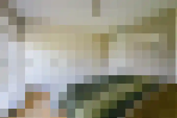 Binnenkruier 27 Stompetoren thumbnail 17
