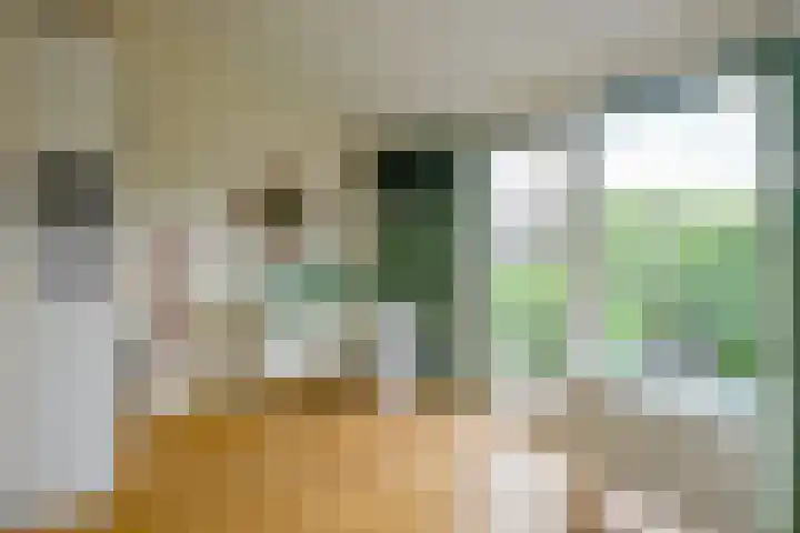 Binnenkruier 27 Stompetoren thumbnail 22