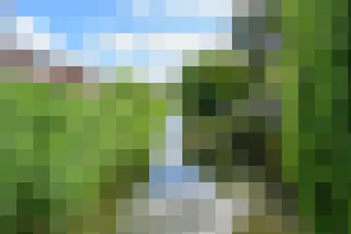 Binnenkruier 27 Stompetoren thumbnail 32