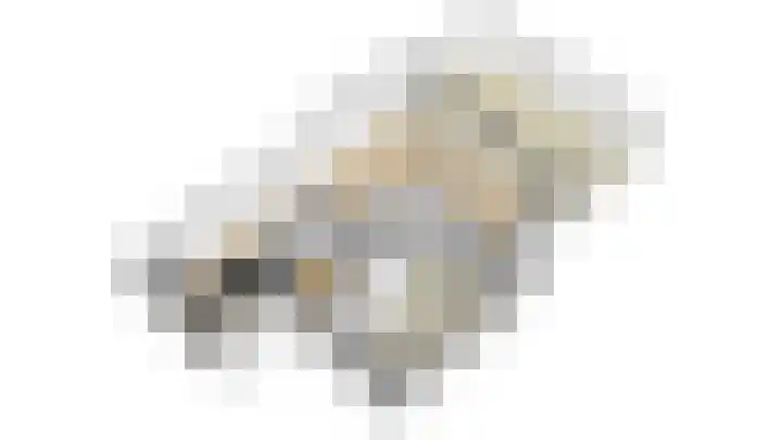Binnenkruier 27 Stompetoren thumbnail 34