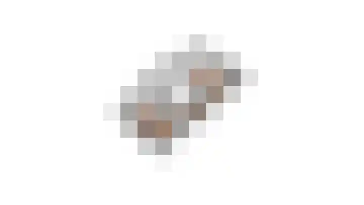 Binnenkruier 27 Stompetoren thumbnail 38