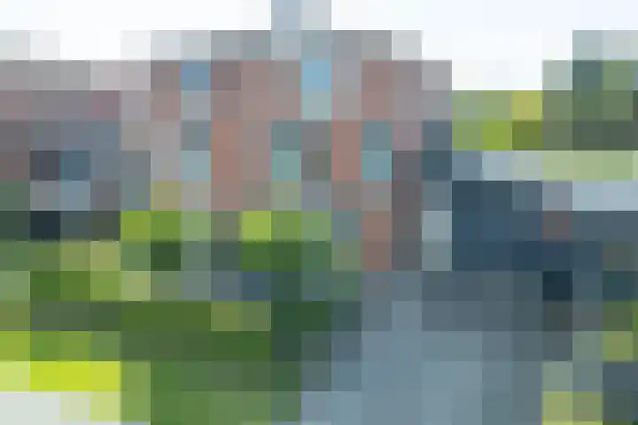 Binnenkruier 27 Stompetoren thumbnail 39
