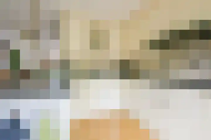 Binnenkruier 27 Stompetoren thumbnail 7