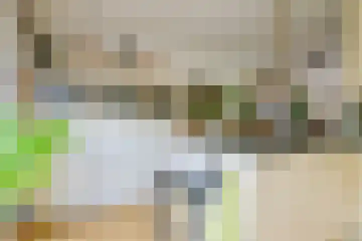 Binnenkruier 27 Stompetoren thumbnail 8